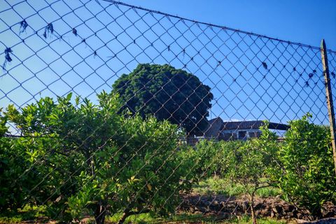 Helårsgrund i Paterno, Catania, Paterno - € 95.000 | Ref: 622 - foto 10