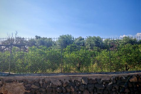 Helårsgrund i Paterno, Catania, Paterno - € 95.000 | Ref: 622 - foto 11