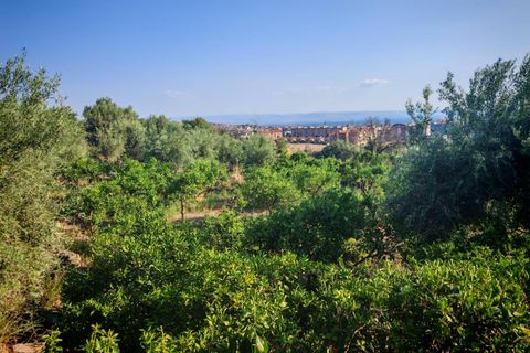 Helårsgrund i Paterno, Catania, Paterno - € 95.000 | Ref: 622 - foto 16