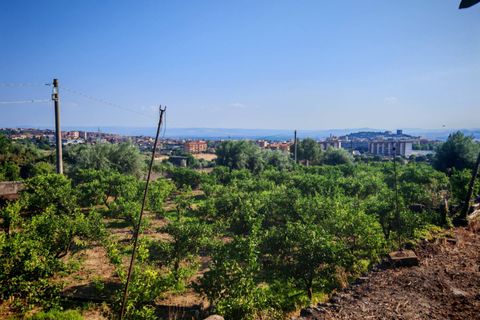Helårsgrund i Paterno, Catania, Paterno - € 95.000 | Ref: 622 - foto 17