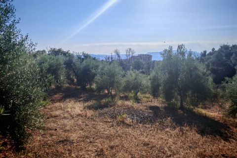 Helårsgrund i Paterno, Catania, Paterno - € 95.000 | Ref: 622 - foto 20