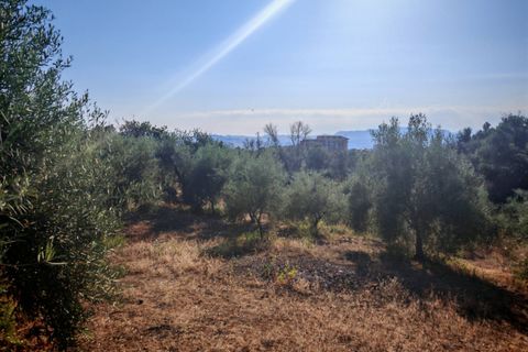 Helårsgrund i Paterno, Catania, Paterno - € 95.000 | Ref: 622 - foto 21