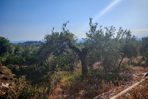 Helårsgrund i Paterno, Catania, Paterno - € 95.000 | Ref: 622 - foto 22