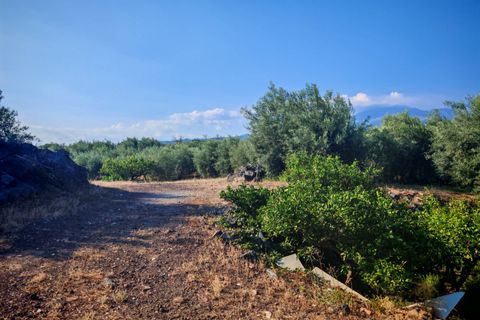 Helårsgrund i Paterno, Catania, Paterno - € 95.000 | Ref: 622 - foto 23