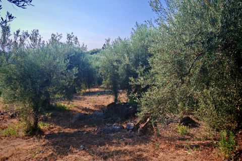 Helårsgrund i Paterno, Catania, Paterno - € 95.000 | Ref: 622 - foto 24