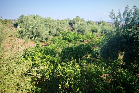 Helårsgrund i Paterno, Catania, Paterno - € 95.000 | Ref: 622 - foto 25