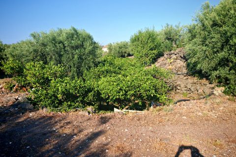 Helårsgrund i Paterno, Catania, Paterno - € 95.000 | Ref: 622 - foto 26