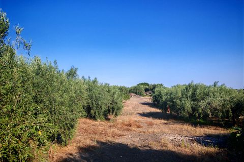 Helårsgrund i Paterno, Catania, Paterno - € 95.000 | Ref: 622 - foto 27
