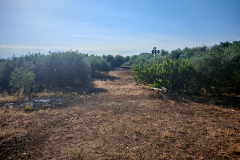 Helårsgrund i Paterno, Catania, Paterno - € 95.000 | Ref: 622 - foto 28