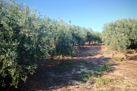 Helårsgrund i Paterno, Catania, Paterno - € 95.000 | Ref: 622 - foto 30