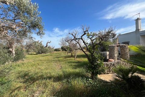 Villa a Gallipoli, Lecce, Gallipoli - € 89.000 | Ref: GNGP-110 - foto 21