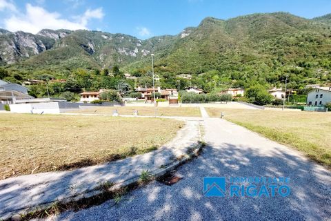 Terra a Solagna, Vicenza, Solagna - € 80.000 | Ref: 328 - foto 7