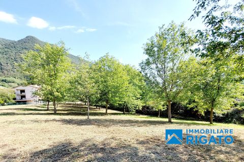 Terra a Solagna, Vicenza, Solagna - € 80.000 | Ref: 328 - foto 5