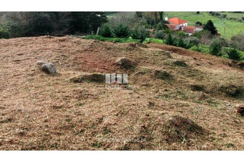 Helårsgrund i Viana do Castelo, Viana do Castelo, Viana do Castelo - € 74.990 | Ref: VCC14506 - foto 12