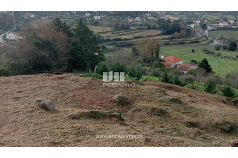 Helårsgrund i Viana do Castelo, Viana do Castelo, Viana do Castelo - € 74.990 | Ref: VCC14506 - foto 29