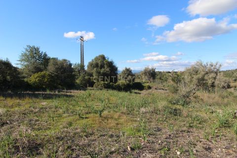 Helårsgrund i Alcantarilha, Faro, Alcantarilha - € 23.000 | Ref: C0507-00203 - foto 3