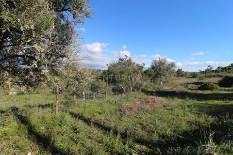 Helårsgrund i Alcantarilha, Faro, Alcantarilha - € 23.000 | Ref: C0507-00203 - foto 4