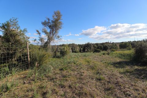 Helårsgrund i Alcantarilha, Faro, Alcantarilha - € 23.000 | Ref: C0507-00203 - foto 7