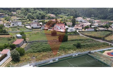 Terra a Ganfei, Viana do Castelo, Ganfei - € 40.000 | Ref: TER_273 - foto 3