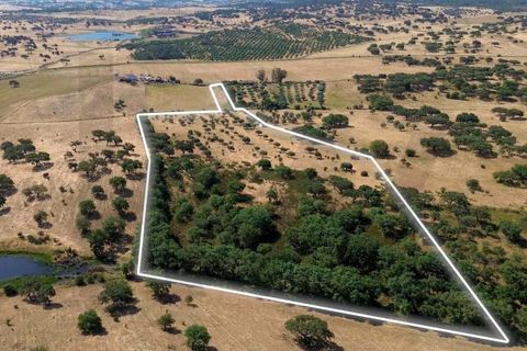 Helårsgrund i Almodovar, Beja, Almodovar - € 110.000 | Ref: KWPT-017453 - foto 2