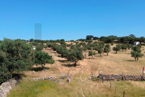 Helårsgrund i Almodovar, Beja, Almodovar - € 110.000 | Ref: KWPT-017453 - foto 3
