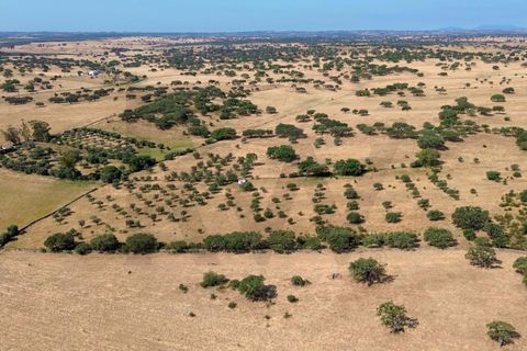 Helårsgrund i Almodovar, Beja, Almodovar - € 110.000 | Ref: KWPT-017453 - foto 4