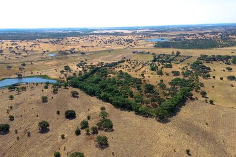 Helårsgrund i Almodovar, Beja, Almodovar - € 110.000 | Ref: KWPT-017453 - foto 5