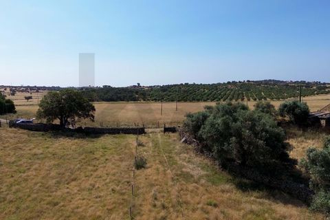 Helårsgrund i Almodovar, Beja, Almodovar - € 110.000 | Ref: KWPT-017453 - foto 6