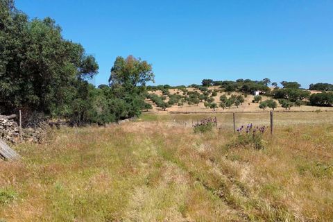 Helårsgrund i Almodovar, Beja, Almodovar - € 110.000 | Ref: KWPT-017453 - foto 7