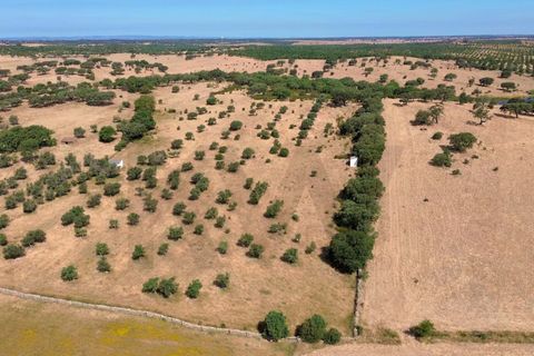 Helårsgrund i Almodovar, Beja, Almodovar - € 110.000 | Ref: KWPT-017453 - foto 8