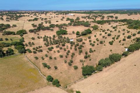 Helårsgrund i Almodovar, Beja, Almodovar - € 110.000 | Ref: KWPT-017453 - foto 9