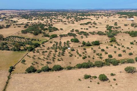 Helårsgrund i Almodovar, Beja, Almodovar - € 110.000 | Ref: KWPT-017453 - foto 10