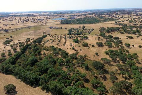 Helårsgrund i Almodovar, Beja, Almodovar - € 110.000 | Ref: KWPT-017453 - foto 11