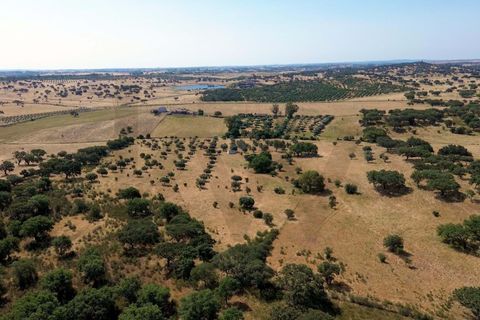 Helårsgrund i Almodovar, Beja, Almodovar - € 110.000 | Ref: KWPT-017453 - foto 12