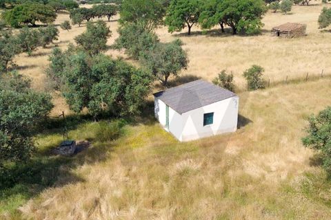 Helårsgrund i Almodovar, Beja, Almodovar - € 110.000 | Ref: KWPT-017453 - foto 13