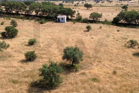 Helårsgrund i Almodovar, Beja, Almodovar - € 110.000 | Ref: KWPT-017453 - foto 14