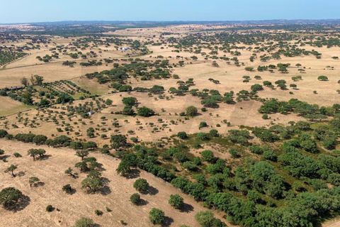 Helårsgrund i Almodovar, Beja, Almodovar - € 110.000 | Ref: KWPT-017453 - foto 15