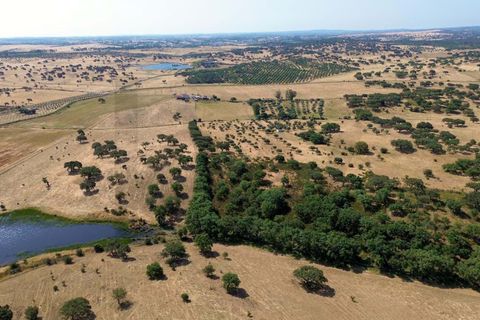 Helårsgrund i Almodovar, Beja, Almodovar - € 110.000 | Ref: KWPT-017453 - foto 16