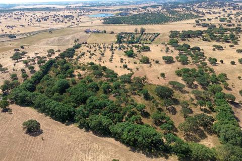 Helårsgrund i Almodovar, Beja, Almodovar - € 110.000 | Ref: KWPT-017453 - foto 17