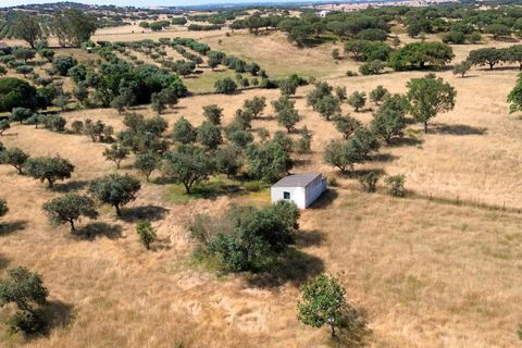 Helårsgrund i Almodovar, Beja, Almodovar - € 110.000 | Ref: KWPT-017453 - foto 18