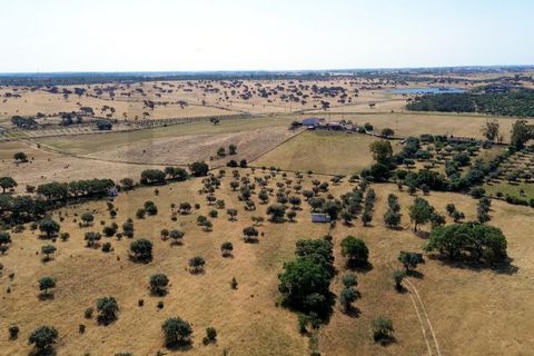 Helårsgrund i Almodovar, Beja, Almodovar - € 110.000 | Ref: KWPT-017453 - foto 19