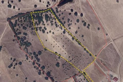 Helårsgrund i Almodovar, Beja, Almodovar - € 110.000 | Ref: KWPT-017453 - foto 20