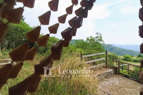 Villa i Camaiore, Lucca, Camaiore - € 75.000 | Ref: ES586 - foto 25
