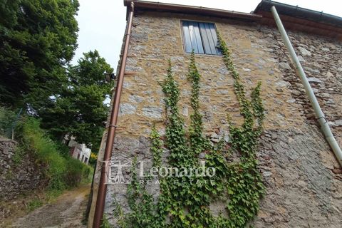 Villa i Camaiore, Lucca, Camaiore - € 75.000 | Ref: ES586 - foto 37