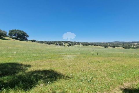 Farm i Elvas, Portalegre, Elvas - € 1.250.000 | Ref: 3122025EM - foto 1