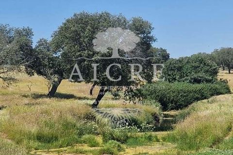 Farm i Elvas, Portalegre, Elvas - € 1.250.000 | Ref: 3122025EM - foto 2