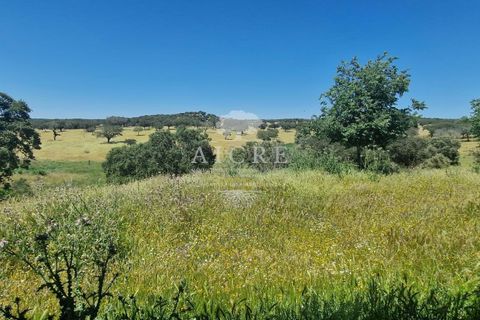 Farm i Elvas, Portalegre, Elvas - € 1.250.000 | Ref: 3122025EM - foto 4