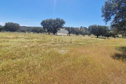 Farm i Elvas, Portalegre, Elvas - € 1.250.000 | Ref: 3122025EM - foto 5