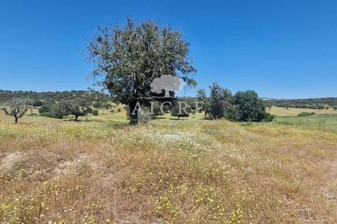 Farm i Elvas, Portalegre, Elvas - € 1.250.000 | Ref: 3122025EM - foto 6