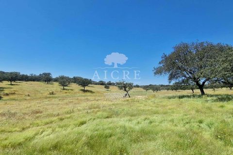 Farm i Elvas, Portalegre, Elvas - € 1.250.000 | Ref: 3122025EM - foto 7